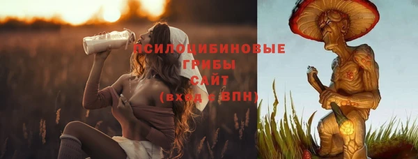 Альфа ПВП Осташков
