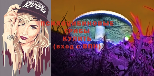 PSILOCYBIN Бугульма