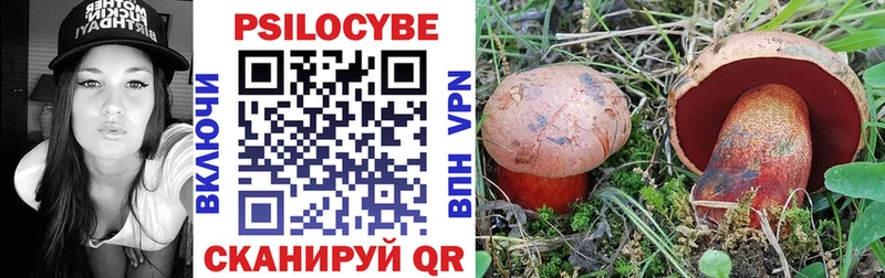 закладки Каневская Псилоцибиновые грибы Psilocybe