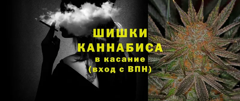 Конопля Ganja  Каневская 